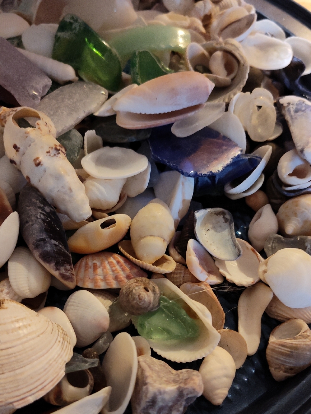 Mason Jar Full Of A Collection Of Sea Shells And Sea Glass With Plenty More - Picture 8 of 9